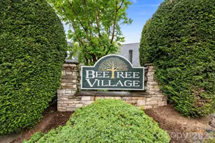 41 Beekeeper Trail, Swannanoa, NC 28778 - Photo 45