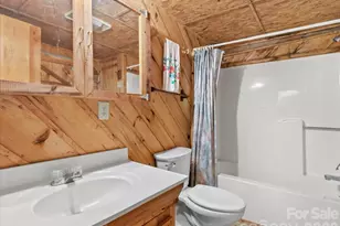 230 Chatter Box Ln, Green Mountain, NC 28740 - Photo 25