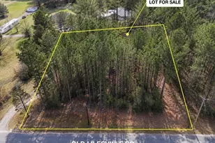 # Old Lilesville Rd, Wadesboro, NC 28170 - Photo 1