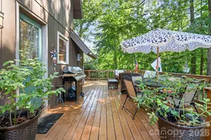 55 Overlook Dr, Candler, NC 28715 - Photo 29