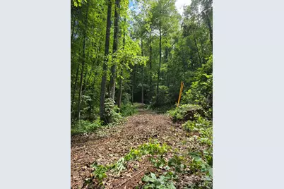533 Enchanted Forest Drive, Sylva, NC 28779 - Photo 9