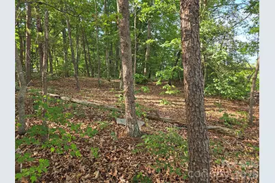 1236 Smithfield Drive, Hudson, NC 28638 - Photo 5