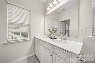 10620 Overlook Mountain Dr, Charlotte, NC 28216 - Photo 29
