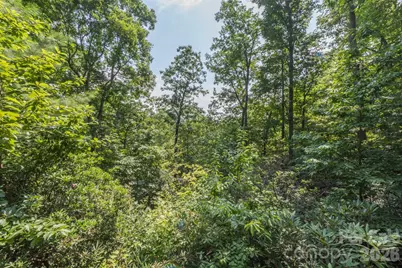 275 Allen Mountain Drive, Black Mountain, NC 28711 - Photo 27