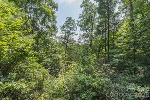 275 Allen Mountain Dr, Black Mountain, NC 28711 - Photo 27