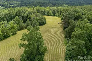 717 Frog Creek Rd, Union Mills, NC 28167 - Photo 5
