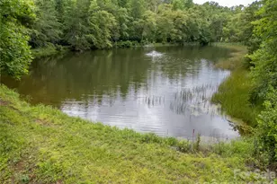 717 Frog Creek Rd, Union Mills, NC 28167 - Photo 3