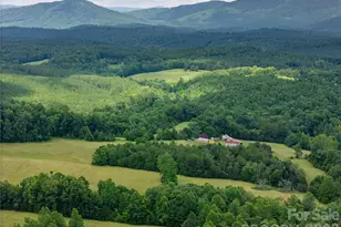 717 Frog Creek Rd, Union Mills, NC 28167 - Photo 11