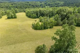 717 Frog Creek Rd, Union Mills, NC 28167 - Photo 7