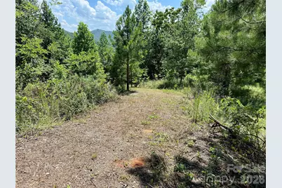 V/L Summit Trail #82, Nebo, NC 28761 - Photo 7