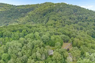 38 Bee Tree Ln, Mars Hill, NC 28754 - Photo 33