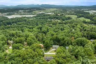 84 Greenwood Acres Dr, Mills River, NC 28759 - Photo 29