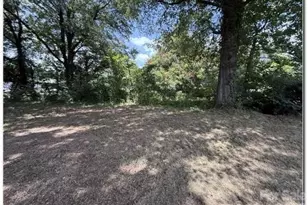 219 N Scruggs St, Gastonia, NC 28052 - Photo 19