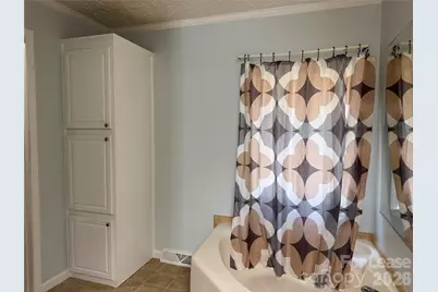 2805 Sweeping Pine Lane, Denver, NC 28037 - Photo 25
