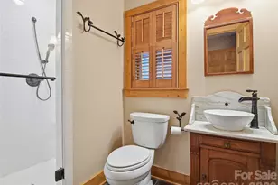 6 Laurel Branch Dr, Black Mountain, NC 28711 - Photo 47
