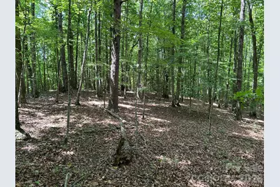 0 Wilderness Ridge #4, Rutherfordton, NC 28139 - Photo 11