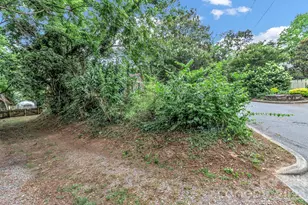 22 Fenner Ave, Asheville, NC 28804 - Photo 43