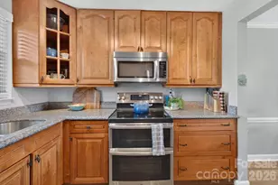 9709 Emerald Point Dr, Charlotte, NC 28278 - Photo 11