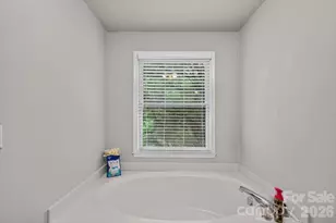 9709 Emerald Point Dr, Charlotte, NC 28278 - Photo 27