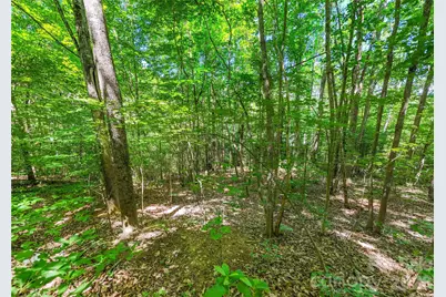 71 Timberwood Drive, Asheville, NC 28806 - Photo 5