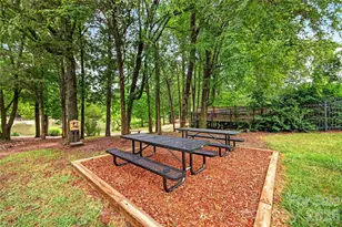 3027 Deep Meadow Ln, Charlotte, NC 28210 - Photo 43