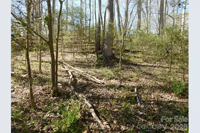 3242 Hwy 73 Highway, Iron Station, NC 28080 - Photo 3