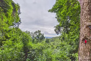 7904 Pinnacle Wind Ln, Lenoir, NC 28645 - Photo 47