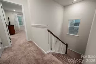 8133 Whitegrove Rd, Charlotte, NC 28227 - Photo 21