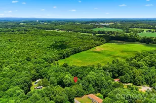 4944 Largo Ct, Conover, NC 28613 - Photo 43