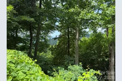 Lot 22 Spring Rock Road, Burnsville, NC 28714 - Photo 1