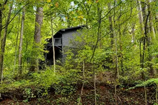 721 Bear Creek Ln, Saluda, NC 28773 - Photo 23