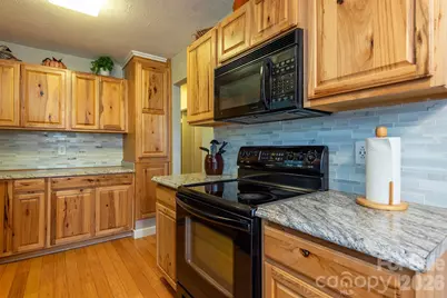 424 Lower Grassy Branch Road, Asheville, NC 28805 - Photo 11