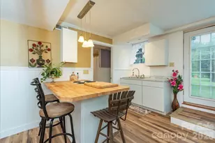 424 Lower Grassy Branch Rd, Asheville, NC 28805 - Photo 21