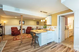 424 Lower Grassy Branch Rd, Asheville, NC 28805 - Photo 19
