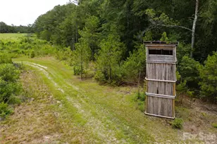 1726 Old Cheraw Hwy, Rockingham, NC 28379 - Photo 35