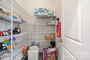 9320 Ainslie Downs St, Charlotte, NC 28273 - Photo 9