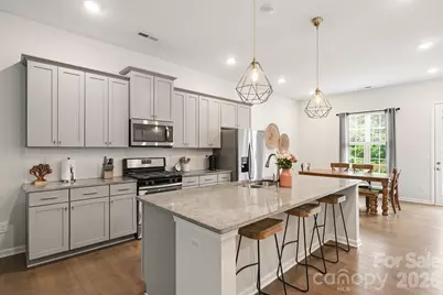9320 Ainslie Downs Street, Charlotte, NC 28273 - Photo 3