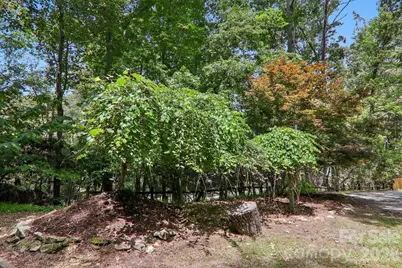 3 Edelweiss Drive, Horse Shoe, NC 28742 - Photo 37