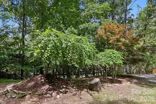 3 Edelweiss Dr, Horse Shoe, NC 28742 - Photo 37