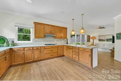 77 Carriage West Drive, Hendersonville, NC 28791 - Photo 27