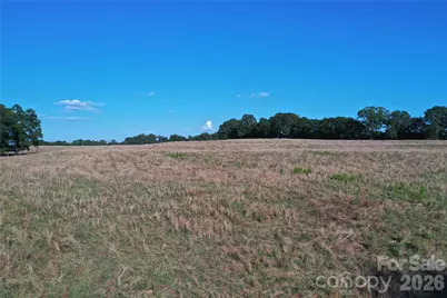328 Sandy Run Church Road, Mooresboro, NC 28114 - Photo 3