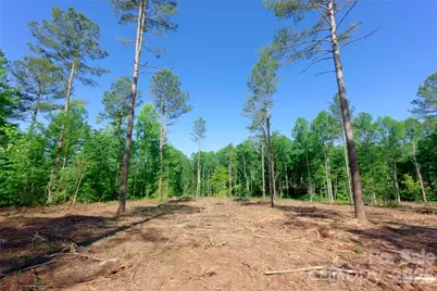 0 Carson Road #6, Cleveland, NC 27013 - Photo 7