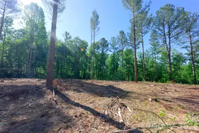 0 Carson Road #6, Cleveland, NC 27013 - Photo 5