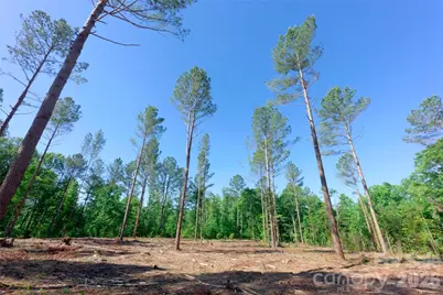 0 Carson Road #6, Cleveland, NC 27013 - Photo 3