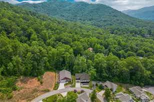 23 Village Overlook Loop, Swannanoa, NC 28778 - Photo 23