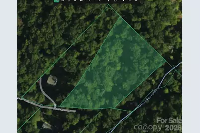Tbd Indian Falls Road, Asheville, NC 28803 - Photo 1