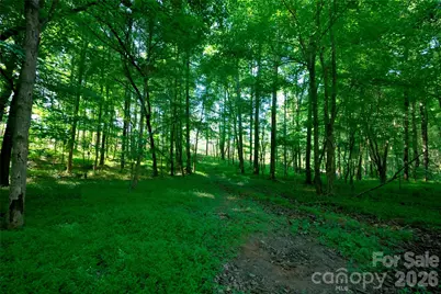 0 Carson Road #5, Cleveland, NC 27013 - Photo 5