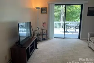 222 Sedi Ln, Brevard, NC 28712 - Photo 25