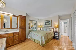 6777 Pinnacle Mountain Rd, Zirconia, NC 28790 - Photo 13