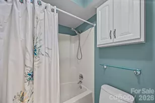 6777 Pinnacle Mountain Rd, Zirconia, NC 28790 - Photo 15